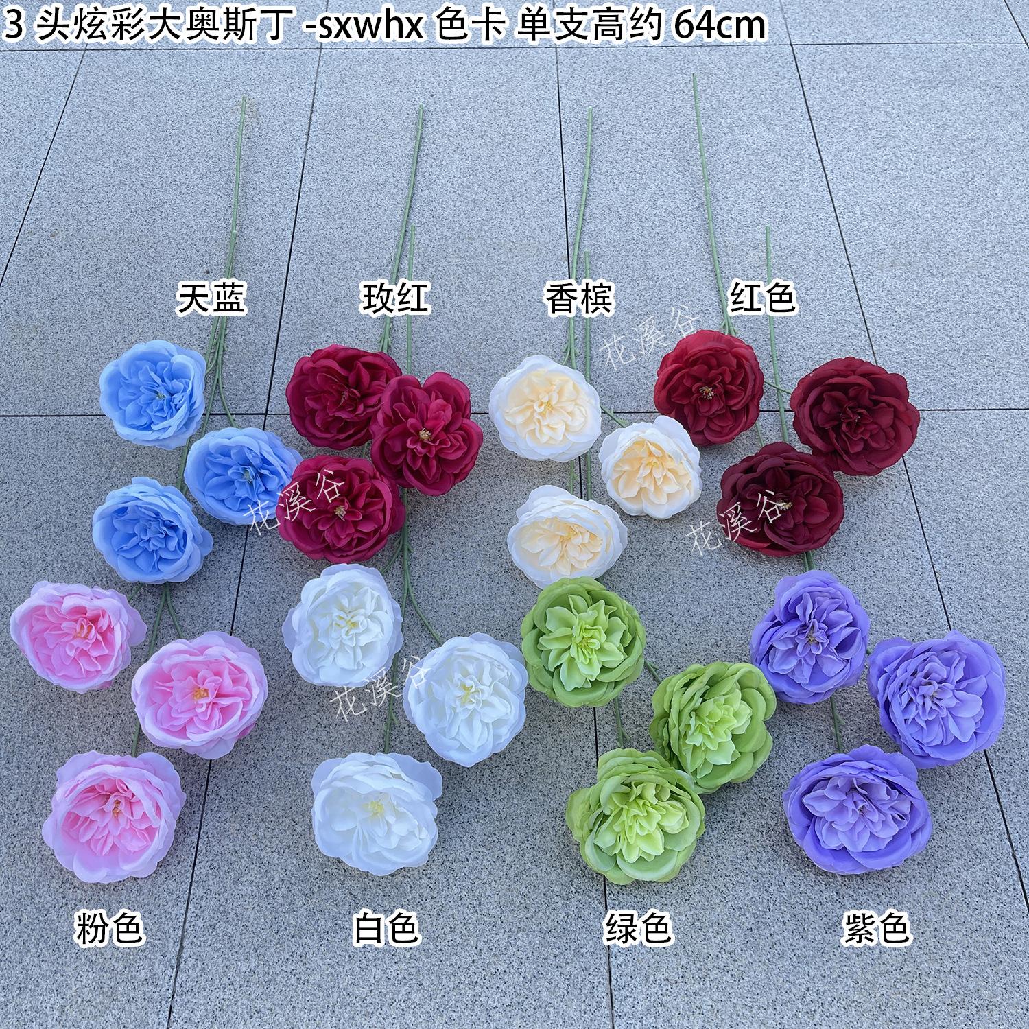 3头炫彩大奥斯丁-sxwhx 色卡 花溪谷.jpg