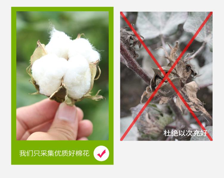 棉花新版_05