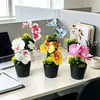Mini 3 orquídeas Phalaenopsis artificiais em vasos aveludados, fornecimento de exportação direta, flores artificiais de toque realista, bonsai, adereços para fotografia