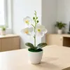 Maceta Redonda Pequeña Transfronteriza Tres Orquídeas Phalaenopsis Planta en Maceta de Simulación Decoración de Entrada de Casa Mueble de TV Flor Artificial de Película Planta en Maceta