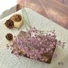 Gypsophila flor artificial ornamentos plásticos decoração de mesa da sala de estar gypsophila fresco simulação fotografia segurando flores