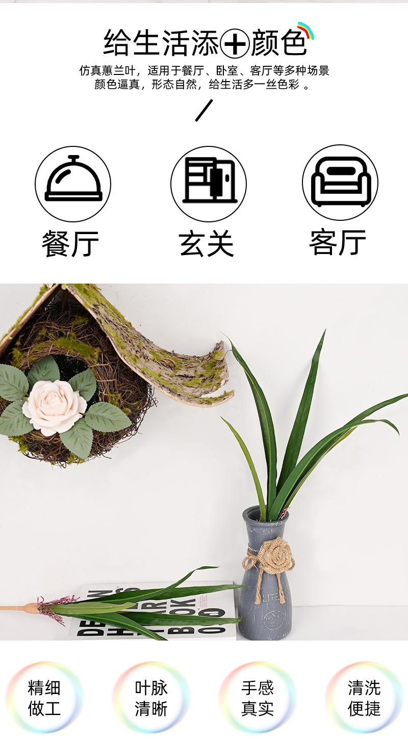 详情页_02.jpg