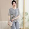 Conjunto de Camisetas Elegante e Moderno de Manga Curta para Mães, Novo Conjunto de Verão para Meia-Idade e Idosos, Conjunto de Duas Peças Estilo Chinês