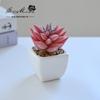 Suculenta Pequeño Bonsái Cerámica Muebles para el Hogar Decoración Fabricante de Jinhua Plantas Verdes Aliexpress Flor Artificial Plantas en Maceta