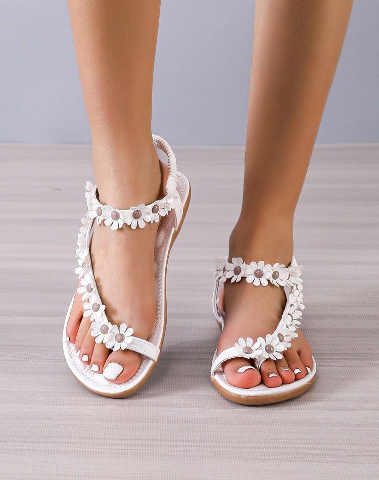 2023030620547638236118w750h950