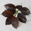 Folha de borracha artificial folha artificial planta tropical seringueira garfo árvore jardim paisagismo folhas decorativas