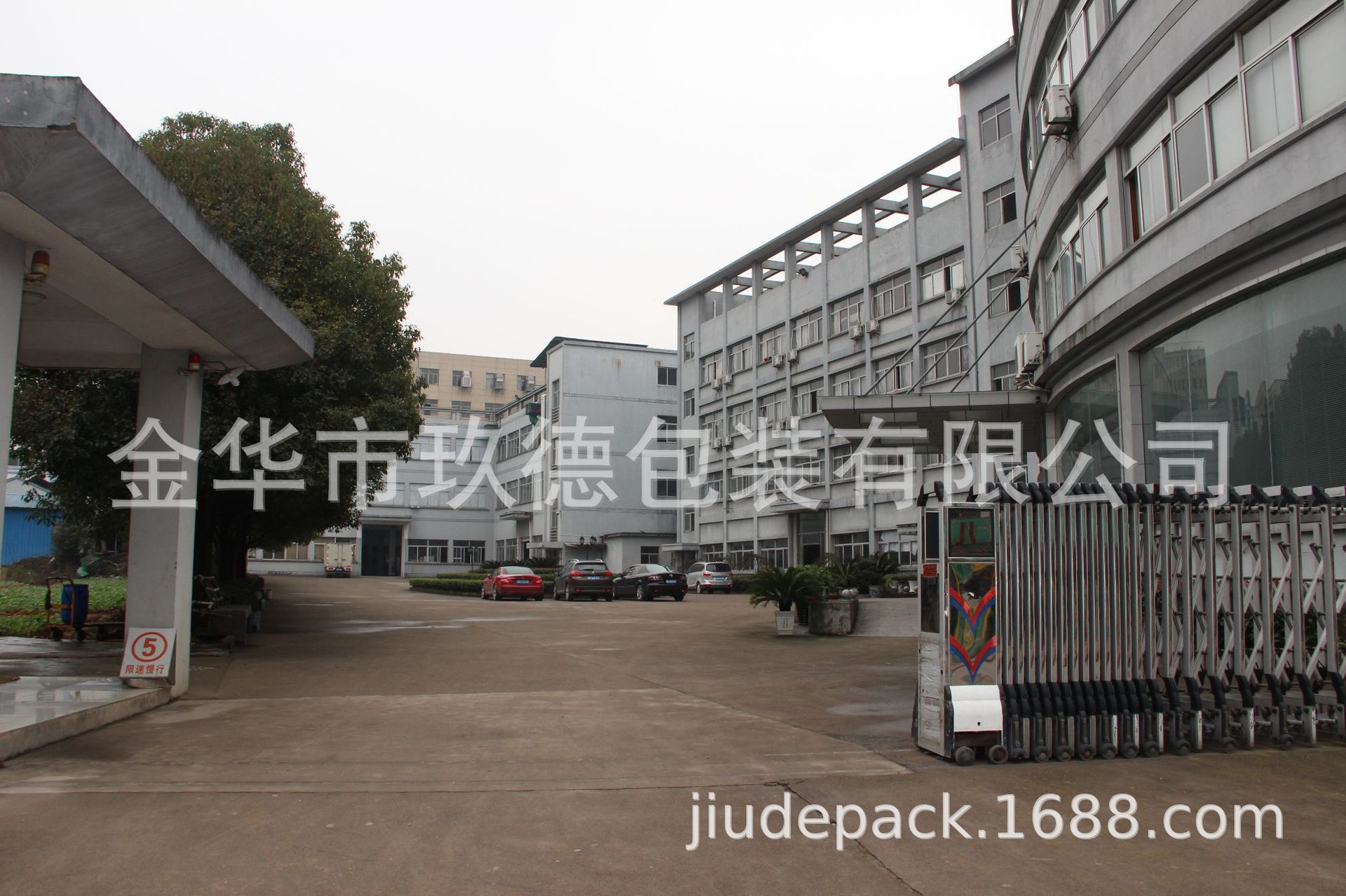 IMG_8556.JPG