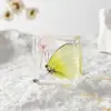 A Fábrica de Artesanato Zhongkun vende espécimes de insetos genuínos como itens decorativos, embutidos em resina de alta transparência, como brinquedos científicos educativos para crianças.