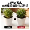 Macetas auto-riego al por mayor, macetas para perezosos, no necesitan riego para viajes de negocios y vacaciones, macetas simples y versátiles para plantas de interior y flores