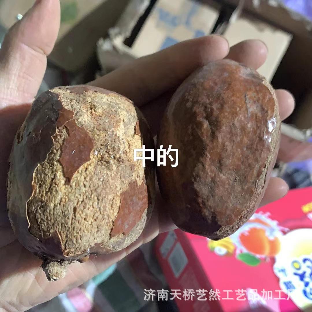 红皮佛心果中号.jpg