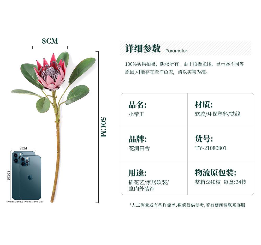 小帝王-8.13_02.jpg