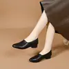 Sapatos femininos de salto baixo 2026 novo modelo, sapatos Mary Jane slip-on de bico redondo, couro macio, sapatos de couro de salto baixo para primavera e outono, sola macia, confortáveis para mulheres de meia-idade