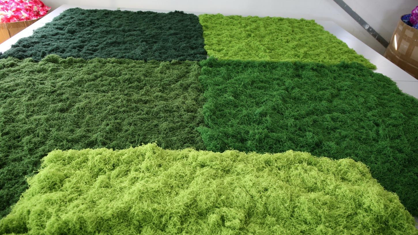 751A2464 - 开心看图王_副本