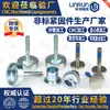 Tornillos de Cabeza Fría No Estándar, Varios Tornillos de Combinación Autorroscantes con Cabeza Tipo Ranura, Sujetadores de Herrajes No Estándar