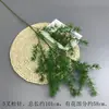 Flores Artificiais Coloridas de Dopamina para Montagem de Cena de Casamento, Arranjos de Flores de Seda, Materiais Florais, Flores para Decoração de Painel de Casamento