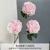 Flor Artificial Rosa Austin Flor Rosa Enrolada Adereços de Decoração de Casamento Adereços para Fotos Decoração com Flores Artificiais Arte Floral