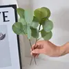 Decoración Artificial de Planta DIY de Eucalipto Artificial con Esquejes de Frutas, Ramas Cortas de Hojas de Dinero y Hojas Transfronteriza de Amazon