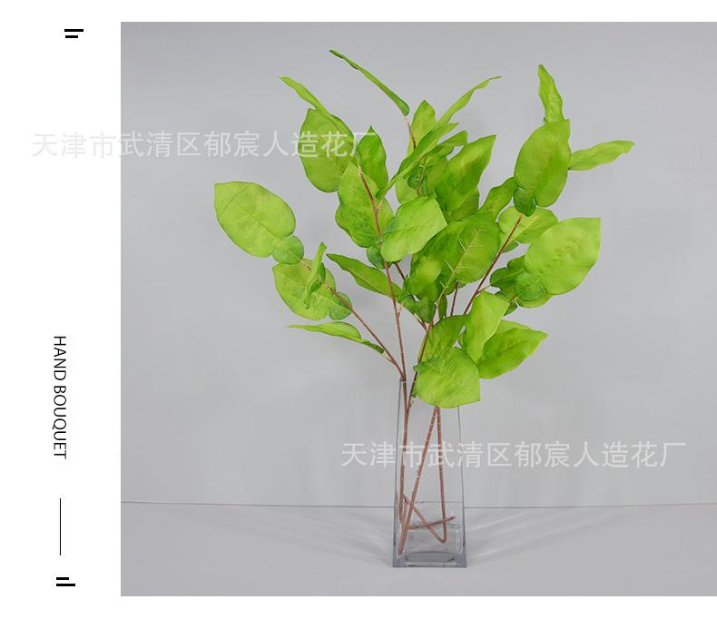 详情_12.png