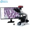 Microscópio Biológico 4K Tipo S650T-900Hk Fibra Pó Inspeção de Microorganismos Foto Medição 8 Milhões de Pixels