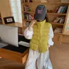 Colete de Algodão com Penas Estilo Coreano Outono e Inverno Gola Alta Estiloso Curto com Costelas Colete Versátil Peça de Roupa Externa Tendência