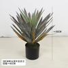 Planta Verde Artificial en Maceta Árbol Sangre de Dragón de Hoja Estrecha, Agave, Árbol de Yuca, Cola de Caballo Aguja de Hierro Girasol, Árbol de Hierro Decoración de Ventana