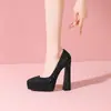 Zapatos de Mujer de 14 cm con Punta Aguda y Tacón Grueso Sky-High Modelo Nuevo 2026 Negro Versátiles Impermeables Plataforma Pasarela Rendimiento Tacones Altos