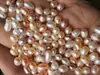 Aspira almeja pequeña una almeja una perla AAA perla real color mixto Los pedidos de comercio exterior se pueden hacer según los requisitos de Beckham