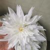 Cabeças de Flores Artificiais, Cabeças de Flores Grandes, Crisântemo, Cabeças de Flores Dália, Decorações de Flores para Casamentos, Decorações DIY, Decorações de Mesa de Aniversário