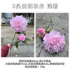 2025 Nuevo Fabricante de Flores Artificiales Rosas Rosa Claro Rosa Hortensia Peonía Guía de Camino de Boda Flores Artificiales al por Mayor