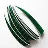Pluma de pavo con escudo rayado de 5 pulgadas, pluma real, arco y flecha