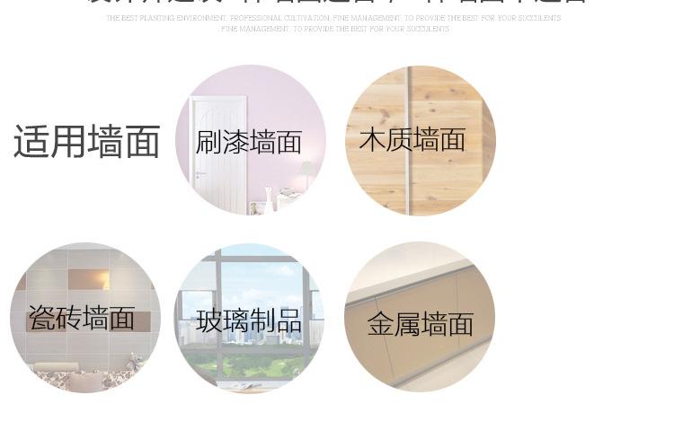 发光蝴蝶_18