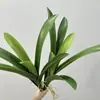 Plantas verdes artificiais, orquídeas pendentes, folhas de orquídea, decorações de micro paisagem, itens decorativos para quartos modelo, decoração macia de piso, plantas falsas
