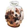 2021 AliExpress Amazon ebay Comercio Exterior Linda Serie de Cachorros Súper Sudadera Estampada Digitalmente 3D Sudadera con Capucha para Hombre