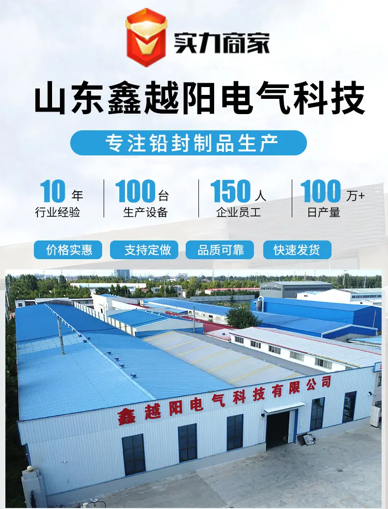 钢丝铅封-方块_01.jpg