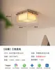 Luz de Techo Bauhaus para Dormitorio Industrial de Espectro Completo Protectora de Ojos Color Cromo Estudio Vestidor Retro Balcón
