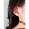 Aretes de pedrería Super Flash uña de hueso del oído para mujer aguja antiplástica una caja de aretes de resina 2022 Nueva Marea