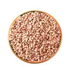 Arroz de Sorgo Glutinoso Pegajoso, Arroz de Sorgo Glutinoso Drop-Shipping de Una Pieza, Arroz de Sorgo Pegajoso, Arroz de Sorgo Pelado, Gachas, Tratamiento Preferencial para Grandes Cantidades