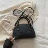 Bolso de mano estilo coreano con diseño de concha, bolso simple para el hombro para mujer, nuevo modelo de verano 2026, bolso de hombro tejido de color sólido, bolso cruzado para el día a día