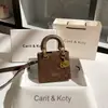 Dropshipping Moda Vintage Bolsa Princesa Diana em Relevo Novo Estilo Outono e Inverno 2025 Bolsa de Mão de Luxo Atacado