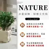 Plantas Pote Relaxantes Pinheiro Azul na Sala de Estar e Mesa de Escritório Ornamentos de Plantas Verdes para Purificar o Ar Plantas de Humor o Ano Todo