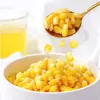 Grãos de Milho Doce Frutado estão Prontos para Comer, com Grãos Distintos, Doces e Deliciosos, Ricos em Suco, e Podem Ser Usados como um Lanche Leve