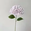 Alta simulación gran hortensia profundidad múltiples colores para hacer pared de propuesta más realista verano sin fin hortensia impresión 3D