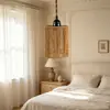 Pantalla de lámpara tejida a mano, ratán de imitación, sala de té estilo Zen vintage, iluminación decorativa para casa de huéspedes, iluminación para sala de estar y dormitorio del hogar