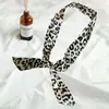 Lenço Pequeno de Seda Longo para Mulheres, Lenço Decorativo para Cabelo, Lenço Pequeno Profissional Embalado Individualmente, Faixa de Cabeça, Fita de Laço