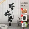 Planta Artificial Verde Grande Black Diamond Árbol de Goma Planta en Maceta de Interior para Sala de Estar Decoración de Planta de Árbol Imitación de Lujo Ligero de Gama Alta