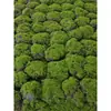 Grama Artificial com Flocagem Pedra Gramado Musgo Pedra Bonsai Planta Musgo
