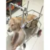 Cadeira de rodas para pet com quatro rodas para membros dianteiros gato cachorro membro traseiro membro posterior auxiliar impulsionador carro idoso deficiente impulsionador traseiro