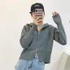 Primavera e Outono Novo Com Capuz Duplo Zíper Malha Cardigan Feminino Solto Curto Preguiçoso Design Nicho Suéter Casaco para Mulheres