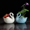 Maceta de cerámica blanca simple de estilo europeo, planta carnosa hidropónica, maceta de cisne pequeño, juego de flores de escritorio, color azul cielo