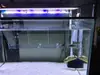 Caixa de Isolamento Acrílica de 3mm de Espessura para Eclosão e Criação de Peixes de Aquário Pequenos, Compartimento Único/Duplo/Múltiplo, Enviado de Guangzhou, Furos de 2mm